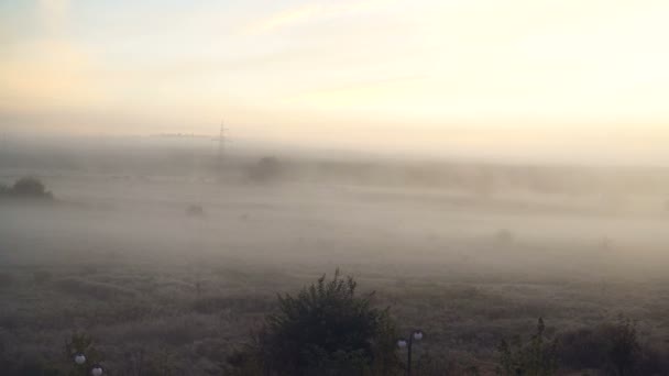 Weites Panorama der schönen nebligen Wiese. Dichter Nebel über trockener Graswiese und Baumsilhouetten am frühen Herbstmorgen. 4k-Video — Stockvideo