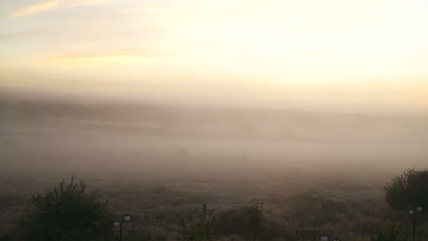 Brett panorama av vackra dimmig äng. Tät dimma över torrt gräs äng och träd siluetter på tidig höst morgon. 4k-video — Stockvideo