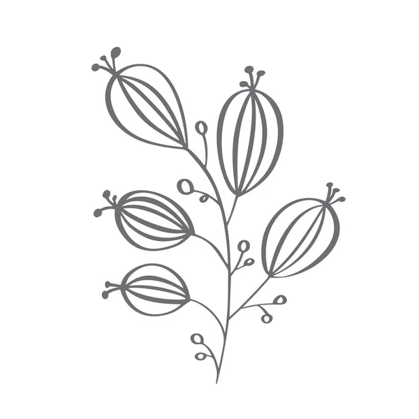 Os elementos decorativos do ramo do Natal projetam folhas florais em estilo escandinavo. Vector handdraw ilustração para xmas cartão de saudação — Vetor de Stock