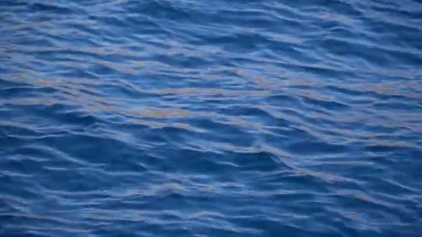 Ren blå vattnet i Röda havet med ljusreflektioner. 4 k video motion — Stockvideo