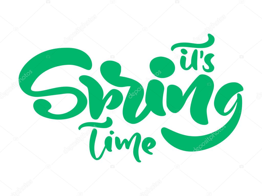 Calligraphy lettering phrase Its Spring Time. Vector Hand Drawn Isolated text. sketch doodle design for greeting card, scrapbook, print.