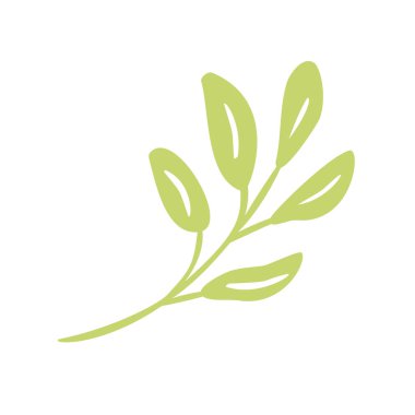 Düz soyut yeşil bitkiler çiçek otlar simge vektör. Çayır Bahçe bahar easter, kadınlar günü romantik tatil, düğün davetiye kartı dekorasyon öğesi yaz çiçek resimde beyaz arka plan