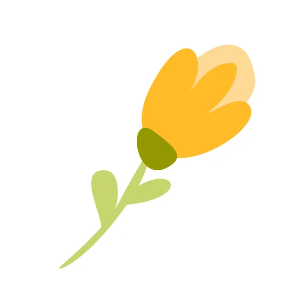 Niedlichen Vektor isolierte Blume auf weißem Hintergrund. Frühling handgezeichnete Natur Illustration flaches Design. für Grußkarte, Druck, Kinderbuch — Stockvektor