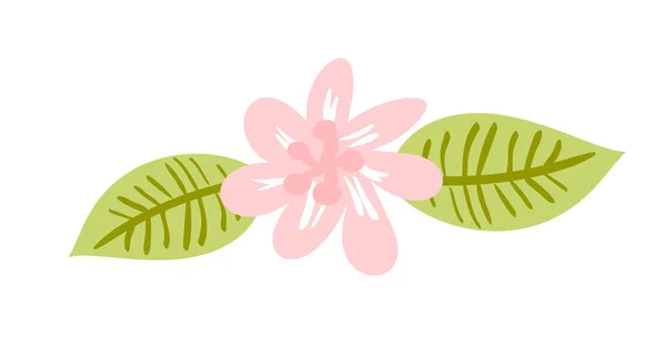 Χαριτωμένο διάνυσμα απομονωμένη λουλούδι σε λευκό φόντο. Άνοιξη χέρι φύση εικονογράφηση επίπεδη σχεδίαση. Ευχετήρια κάρτα εκτύπωση, βιβλίο για παιδιά — Διανυσματικό Αρχείο