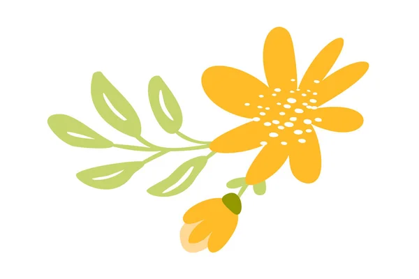 Vector isolated flat flower on white background. Spring scandinavian hand drawn nature illustration wedding design. For greeting card, print, children book — Stock Vector