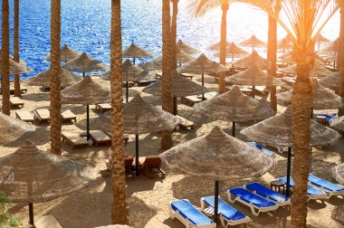 Kumlu deniz Beach Otel Mısır, Sharm el Sheikh, kavram zaman seyahat için bir şemsiye altında yaz şezlong mevcuttur