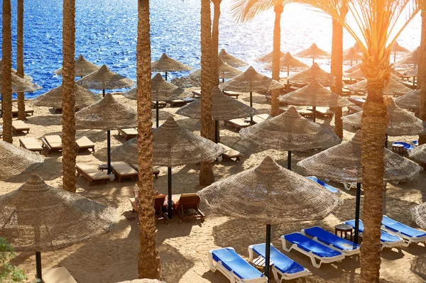 Літній пластикові шезлонги під парасолькою на морські піщані пляжі в hotel Єгипту, Шарм Ель Шейх, концепція час для поїздки — стокове фото