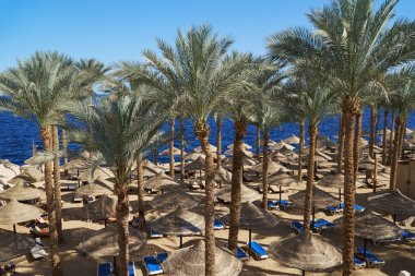 Yaz chaise kumlu deniz sahilinde bir şemsiye altında mevcuttur ve palms hotel Mısır, Sharm el Sheikh, kavram zaman içinde seyahat etmek