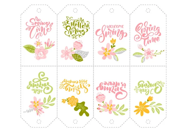 Conjunto de etiquetas de hierbas de flores de primavera con texto caligráfico. Plano abstracto Vector jardín marco, día de la mujer vacaciones románticas, boda invitación tarjeta decoración elemento verano floral Ilustración — Archivo Imágenes Vectoriales