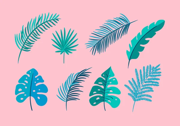 Set di vettoriale isolato palma foglie piatte, esotico su sfondo rosa. Estate scandinavo disegnato a mano natura tropicale monstera illustrazione per il design. Per biglietto di auguri, stampa, libri — Vettoriale Stock