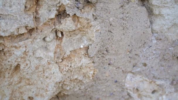 Fondo de textura antigua pared de piedra. Cámara lenta de vídeo de alta definición — Vídeos de Stock