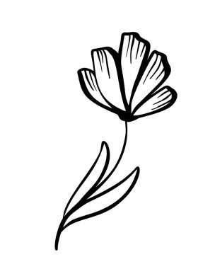 Kabataslak vektör vintage çiçek öğeleri el - defne yaprakları çiçek swirls ve tüyler. Vahşi ve özgür. Mükemmel davetler tebrik kartları, tırnak Bloglar düğün çerçeveleri, posterler için