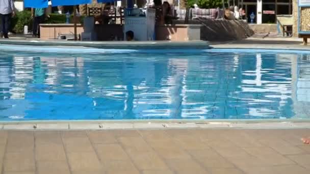 Mavi otel Yüzme Havuzu. Yaz turizmi dinlensin. Lounger güneşli hava — Stok video