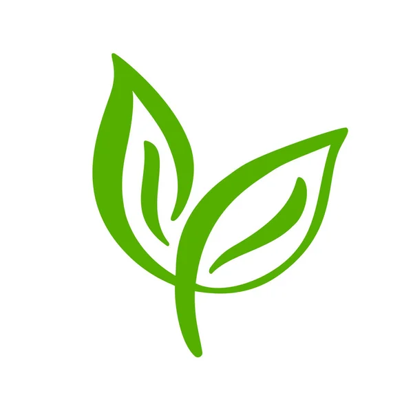 Logotipo de hoja verde de té. Ecología naturaleza elemento vector icono. Eco vegano bio caligrafía ilustración dibujada a mano — Vector de stock