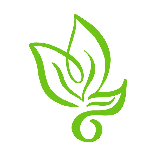 Logotipo de folha verde de chá. Ecologia natureza elemento vetor ícone árvore. Eco vegan bio caligrafia ilustração desenhada à mão —  Vetores de Stock