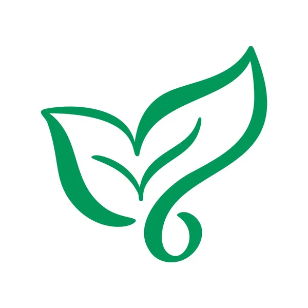 Logotipo de folha verde de chá. Ícone vetorial de elemento de natureza ecológica. Eco vegan bio caligrafia ilustração desenhada à mão — Vetor de Stock