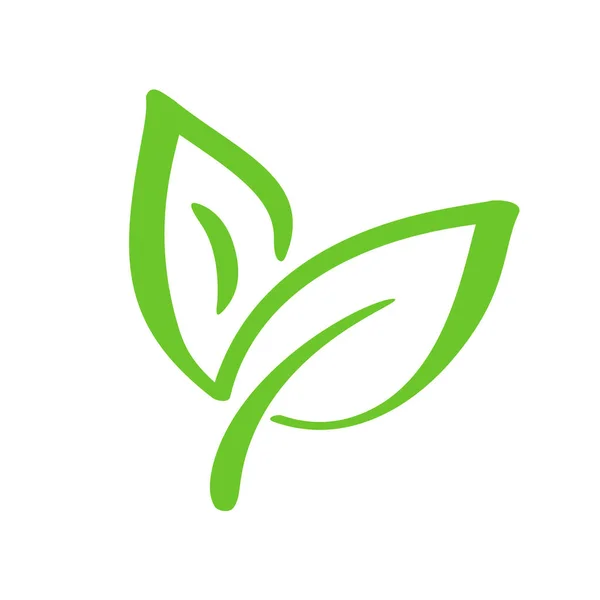 Logotipo de folha verde de chá. Ícone vetorial de elemento de natureza ecológica. Eco vegan bio caligrafia ilustração desenhada à mão —  Vetores de Stock