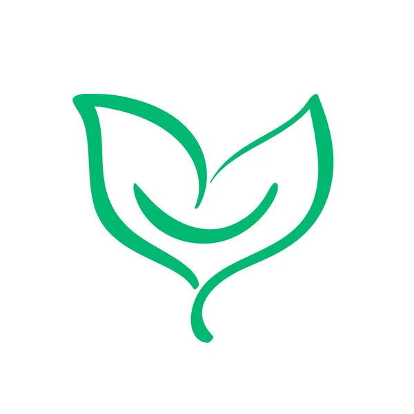 Logotipo de hoja verde de té. Ecología naturaleza elemento vector icono. Eco vegano bio caligrafía ilustración dibujada a mano — Archivo Imágenes Vectoriales