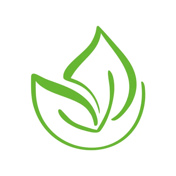 Logotypen för grönt blad te. Ekologi natur element vektor ikon symbol. Eko vegan bio kalligrafi hand dras illustration — Stock vektor