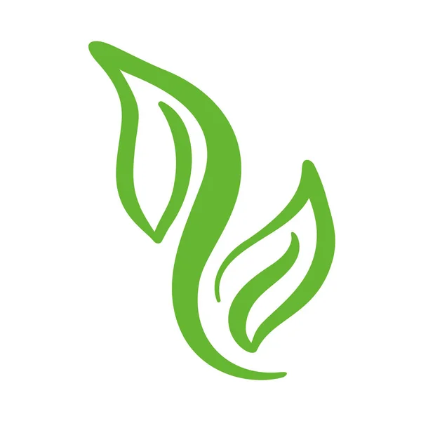 Logotipo de folha verde de chá. Ícone vetorial de elemento de natureza ecológica limpo. Eco vegan bio caligrafia ilustração desenhada à mão — Vetor de Stock