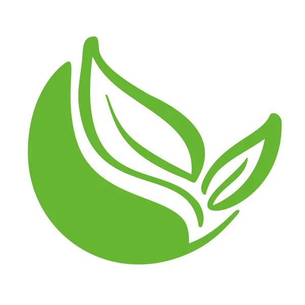 Logotipo de hoja verde de té. Ecología naturaleza elemento vector icono orgánico. Eco vegano bio caligrafía ilustración dibujada a mano — Archivo Imágenes Vectoriales