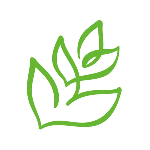 Logotipo de folha verde de chá. Ecologia elemento natureza vetor ícone jardim. Eco vegan bio caligrafia ilustração desenhada à mão —  Vetores de Stock