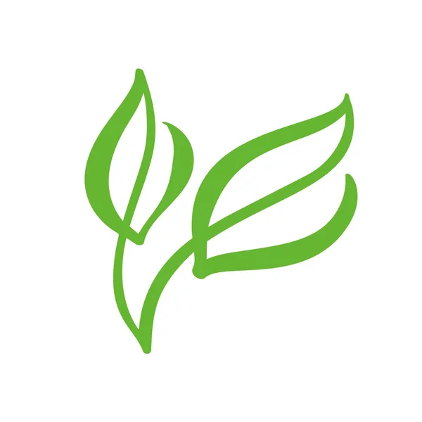 Logotipo de hoja verde de té. Ecología naturaleza elemento vector icono jardín. Eco vegano bio caligrafía ilustración dibujada a mano — Archivo Imágenes Vectoriales