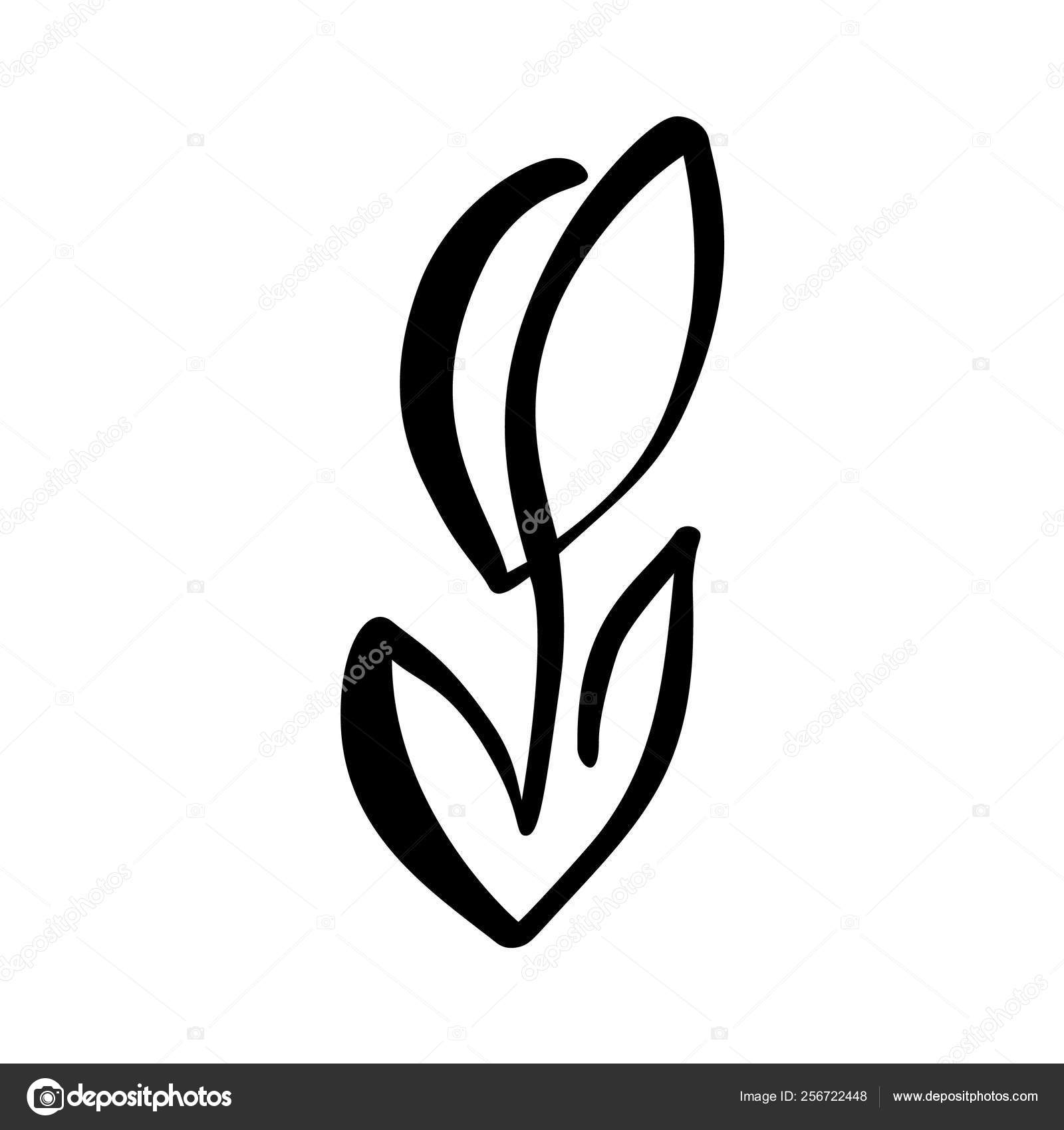 Linea Continua Disegno Mano Logo Calligrafico Vettoriale
