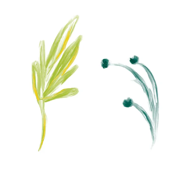 Uppsättning av söta våren akvarell handritade vektor blomma. Konst isolerade objekt illustrationer för brudbukett. Isolerad på vit bakgrund — Stock vektor