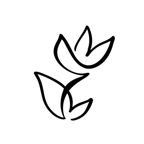 Logotipo de flor tulipa. Linha contínua mão desenho conceito vetor caligráfico. Elemento de design floral primavera escandinavo em estilo mínimo. preto e branco — Vetor de Stock