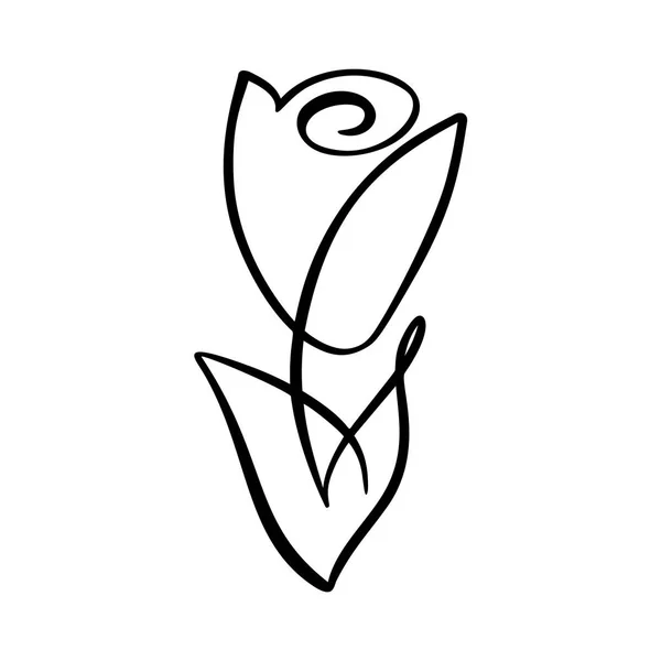 Rosenblütenkonzept. kontinuierliche Linie Handzeichnung kalligraphischen Vektor-Logo. skandinavischen Frühling florales Design Element in minimalistischem Stil. schwarz-weiß — Stockvektor