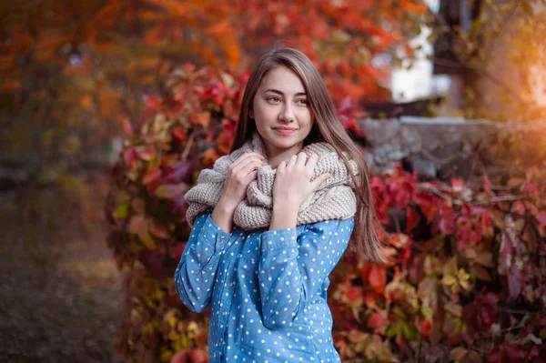 Bonito belo sorriso mulher retrato andando no parque de outono vermelho — Fotografia de Stock
