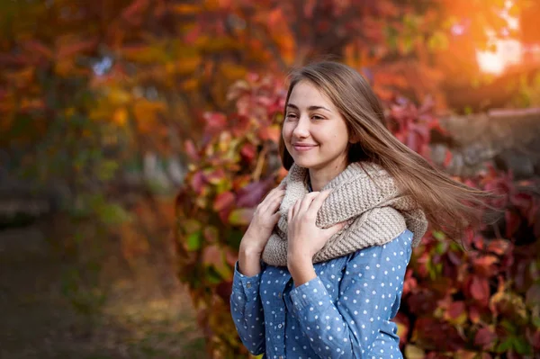 Sevimli güzel gülümseme kadın kırmızı sonbahar parkı yürüyüş — Stok fotoğraf