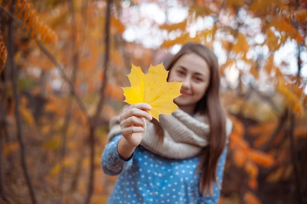 Hermosa joven sosteniendo un montón de hojas de otoño — Foto de Stock