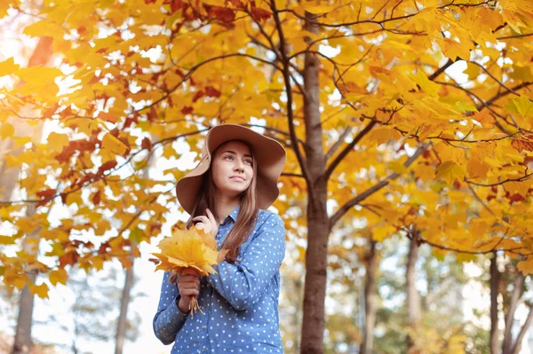 美丽的年轻女子拿着一束秋天的叶子 — 图库照片