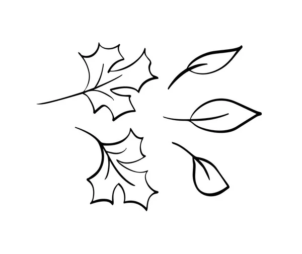 Vector kolekcja ręcznie rysowane jesiennych liści. Izolowany szkic czarno-białych obiektów, piękne elementy rysunku upadku — Wektor stockowy