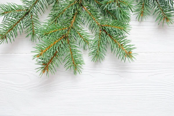 X-mas fir tree branch isolated on white wooden background. Pine branch. Christmas background