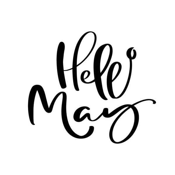 Hello May hand drawn calligraphy text and brush pen lettering. design for holiday greeting card and invitation of seasonal spring holiday calendar — Stock Vector