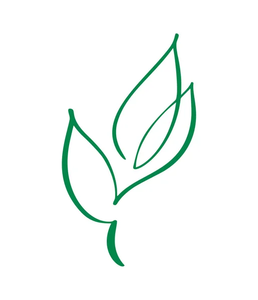 Silueta estilizada vectorial de hoja de árbol de primavera Logotipo aislado sobre fondo blanco. Eco signo, etiqueta de la naturaleza. Elemento decorativo para marcas médicas, ecológicas — Archivo Imágenes Vectoriales
