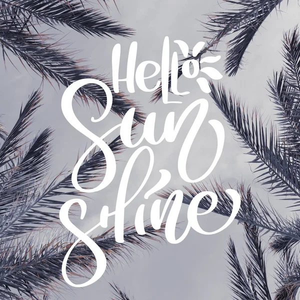 Palm leaves on beach. Template for social networks instagram story. Hand drawn Motivation Quote text Hello Sunshine on photo. Nature sea background