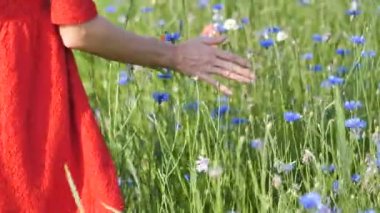 Kırmızı elbise el Poppies alan Through çalışan kadın yakın çekim. Kız el dokunmadan kırmızı haşhaş çiçekler closeup. Aşk doğa kavramı