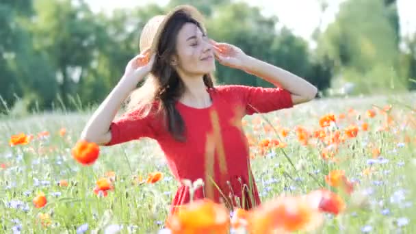 freie, glückliche Frau im roten Kleid, die die Natur genießt. Schönheit Mädchen im Freien geht auf einem Mohnfeld. Freiheitsbegriff. Schönheit Mädchen über Himmel und Sonne