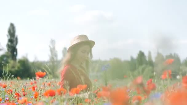 自由快乐的女人在红色礼服享受自然 美女女孩户外走在罂粟领域 自由的概念 美丽的女孩在天空和太阳 — 图库视频影像