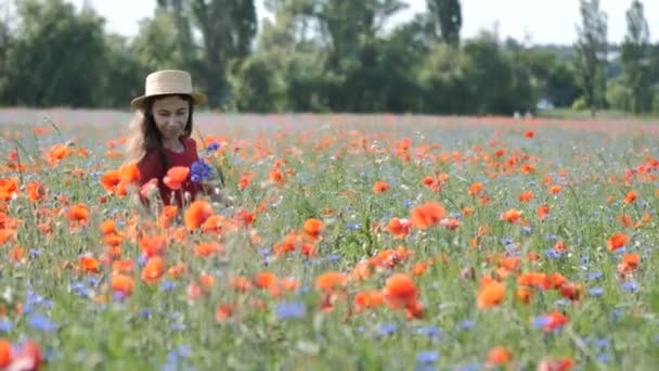 Gratis Femeia Fericită Rochie Roșie Bucurându Natură Frumoasa Fată Aer — Videoclip de stoc