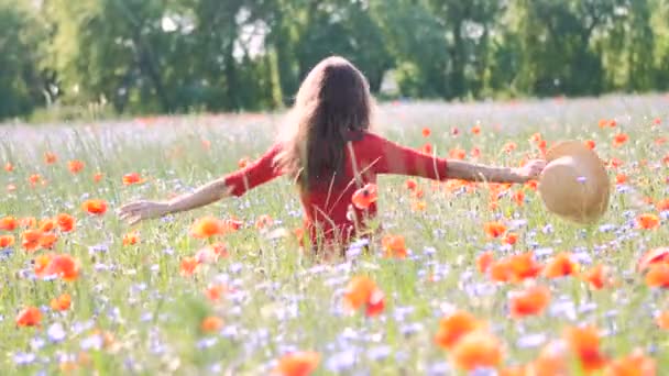 自然を楽しんで赤いドレスで無料の幸せな女性 美しさの女の子屋外のポピーフィールドで歩きます 自由の概念 空と太陽の上の美しさの女の子 — ストック動画