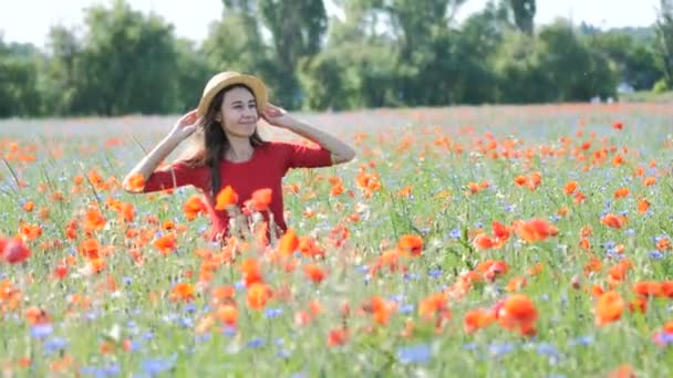Ingyenes boldog nő piros ruhában élvező természet. Szépség Girl kültéri sétál a pipacs területen. Szabadság koncepcióját. Szépség lány mint a Sky és a Sun