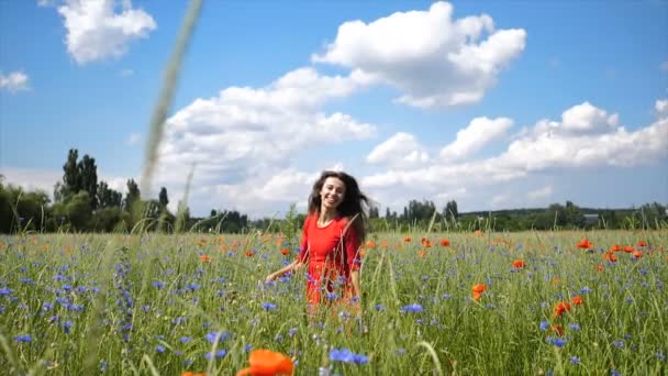 Jovem feliz em vestido vermelho e chapéu grande Apreciando a natureza. Beauty Girl Outdoor caminha em um campo de papoula. Conceito de liberdade. Menina beleza sobre céu e sol — Vídeo de Stock