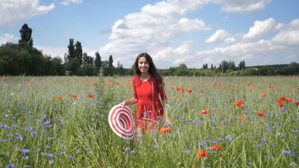 Joyeux jeune femme en robe rouge et grand chapeau Profitant de la nature. Beauté fille promenades en plein air sur un champ de pavot. Concept de liberté. Beauté fille sur ciel et soleil — Video