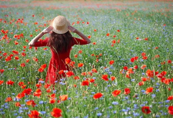 Arka plan yaz poz haşhaş çiçek alanında hasır şapka lovely genç romantik kadın. Hasır şapka takıyor. Yumuşak renkler — Stok fotoğraf