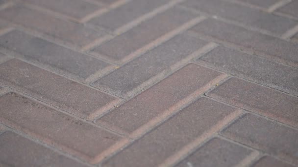 Pedras de pavimentação em um parque em movimento. Fundo de azulejos de pedra coloridos na calçada. Blocos de pedra vermelha em um dia de verão — Vídeo de Stock